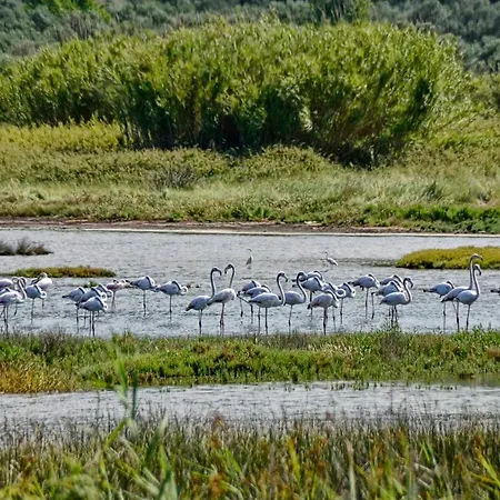 Sia's Διαμέρισμα Άγιος Ματθαίος