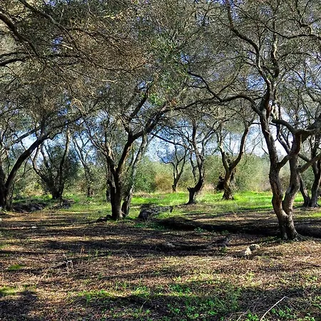 Διαμέρισμα Sia's