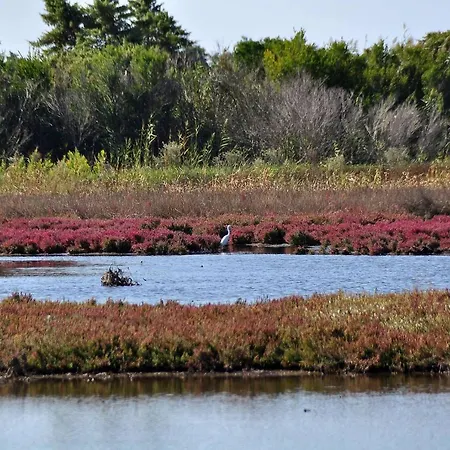 Sia's * Άγιος Ματθαίος